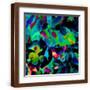 Brown Frame