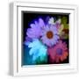 White Frame