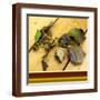 Brown Frame