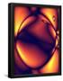 Essential Black