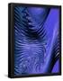 Essential Black