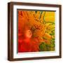 Brown Frame