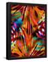 Essential Black