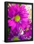 Essential Black