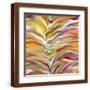 Brown Frame