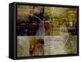 Framed Canvas