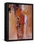 Framed Canvas