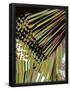 Essential Black