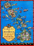 Summer Fun In Hawaii-Ruth Taylor White-Laminated Art Print