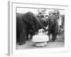 Ruth the Elephant Celebrating Her Birthday-null-Framed Photographic Print