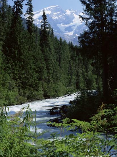 Premium Photographic Print, , large