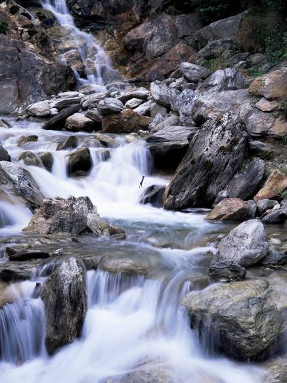Premium Photographic Print, , large