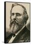 Rutherford B. Hayes (1822-1893). Engraving-null-Framed Stretched Canvas