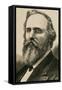 Rutherford B. Hayes (1822-1893). Engraving-null-Framed Stretched Canvas