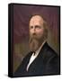 Rutherford B. Hayes, 19th U.S. President-Science Source-Framed Stretched Canvas