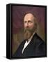 Rutherford B. Hayes, 19th U.S. President-Science Source-Framed Stretched Canvas