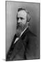 Rutherford B. Hayes, 19th U.S. President-Science Source-Mounted Premium Giclee Print