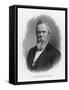 Rutherford Birchard Hayes 19th Us President-null-Framed Stretched Canvas