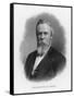 Rutherford Birchard Hayes 19th Us President-null-Framed Stretched Canvas