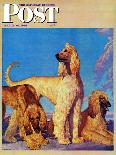 "Afghan Hounds," Saturday Evening Post Cover, March 18, 1944-Rutherford Boyd-Framed Stretched Canvas