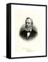 Rutherford Hayes9th President of the United States-null-Framed Stretched Canvas