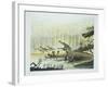 Rutiodon with Fabrosaurus in the Background, Triassic Period-null-Framed Giclee Print