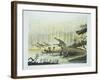 Rutiodon with Fabrosaurus in the Background, Triassic Period-null-Framed Giclee Print