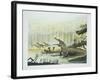 Rutiodon with Fabrosaurus in the Background, Triassic Period-null-Framed Giclee Print