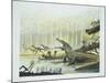 Rutiodon with Fabrosaurus in the Background, Triassic Period-null-Mounted Giclee Print