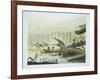 Rutiodon with Fabrosaurus in the Background, Triassic Period-null-Framed Giclee Print