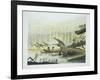 Rutiodon with Fabrosaurus in the Background, Triassic Period-null-Framed Giclee Print