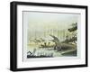 Rutiodon with Fabrosaurus in the Background, Triassic Period-null-Framed Giclee Print