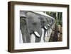 Ruvanvelisaya Dagoba-Christian Kober-Framed Photographic Print