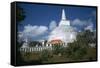 Ruwanvaliseya Stupa in Sri Lanka-CM Dixon-Framed Stretched Canvas