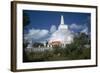 Ruwanvaliseya Stupa in Sri Lanka-CM Dixon-Framed Photographic Print