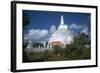 Ruwanvaliseya Stupa in Sri Lanka-CM Dixon-Framed Photographic Print