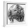 Rw Emerson, Concord Circl-null-Framed Art Print