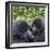 Rwanda, Volcanoes National Park, Ruhengeri, Kinigi. Mountain gorilla. Baby and mother.-Emily Wilson-Framed Photographic Print