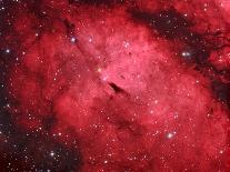 M1 Crab Nebula-rwittich-Photographic Print