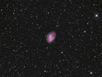 M1 Crab Nebula-rwittich-Photographic Print