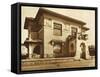 Ryabushinsky House, Malaya Nikitskaya Street, Moscow, Russia, 1902-null-Framed Stretched Canvas