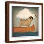Brown Frame