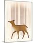 Wood Mount