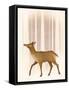 Framed Canvas