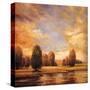 Stretched Canvas