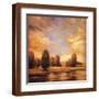 Brown Frame