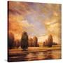 Stretched Canvas