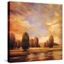 Stretched Canvas