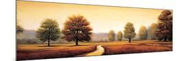 Wood Mount