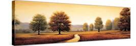 Stretched Canvas
